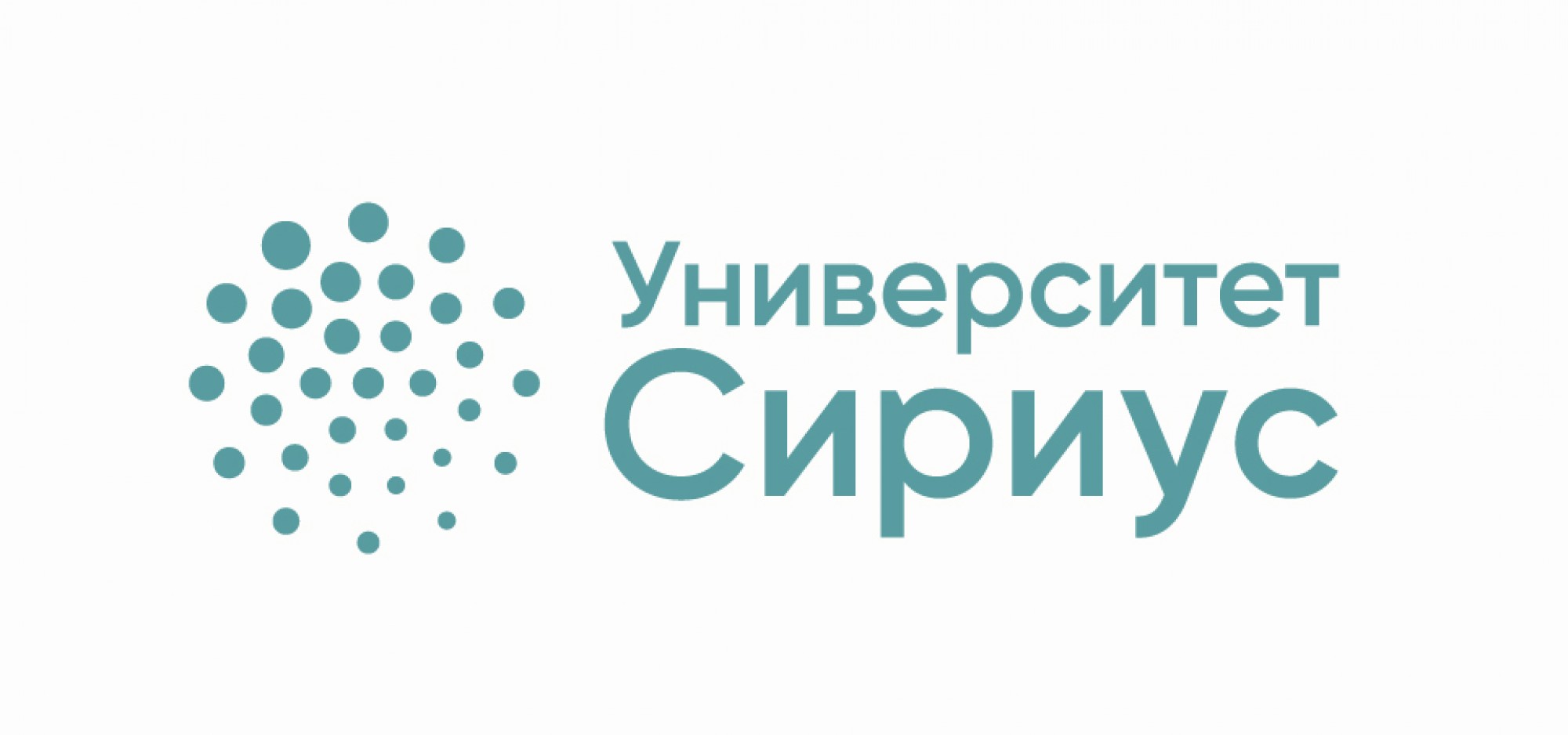 Университет Сириус логотип