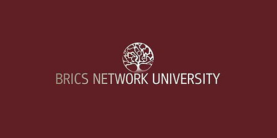 Университет брикс. БРИКС + сеть университетов. Сетевой университет. Логотип сетевого университета.